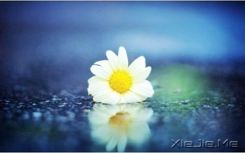 ������һ�ֵ�������� (2)