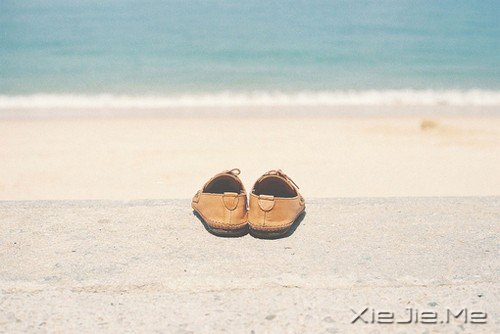 ������ЩС�����