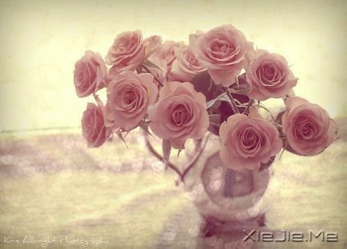 ���ķ��գ�ҲҪ�¸����